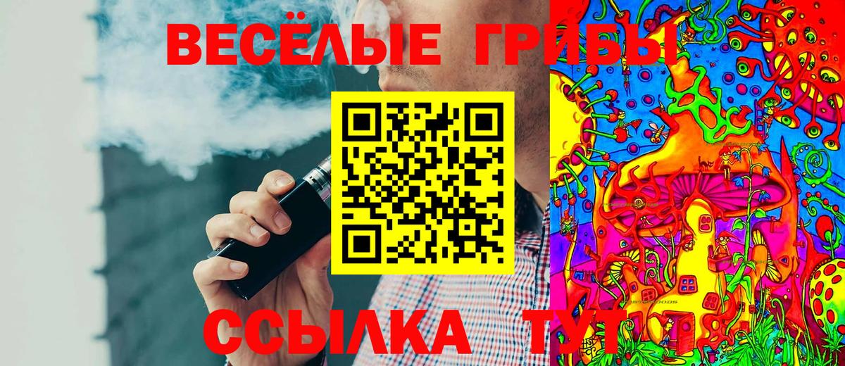 Киселёвск  Псилоцибиновые грибы Cubensis  наркошоп  Псилоцибиновые грибы Magic Shrooms  Вход с VPN 